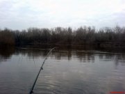 DSC01126.jpg