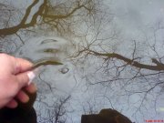 DSC01140.jpg