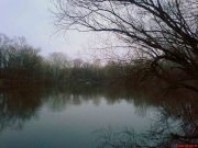 DSC01134.jpg