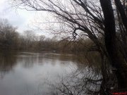 DSC01141.jpg
