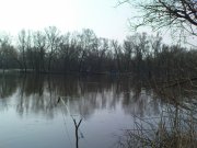 DSC02672.JPG