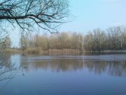 DSC02686.JPG
