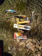 DSC00087.JPG