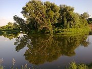 Фото0390.jpg