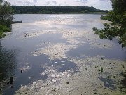 Фото0247.jpg