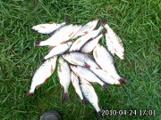 2010-04-24-046.jpg