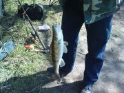 DSC02844.JPG