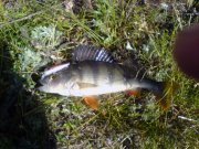 20100426_100254.JPG