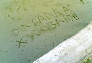 02052010(001)_1.jpg
