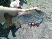 DSC02879.JPG
