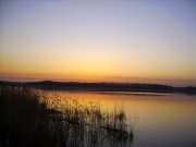 PICT0553.jpg