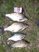 10052010066.jpg