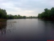 DSC01172.JPG