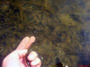 DSC01176.JPG