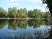 DSC02819.jpg