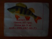 PICT00165jpg.jpg