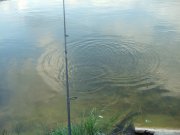 DSCF3248.JPG