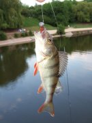 DSCF3251.jpg