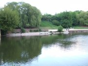 DSCF3250.JPG