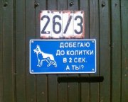 1273698593_10.jpg