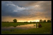 DSC07369.jpg