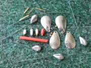 DSC01156.JPG