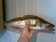 23052010.JPG