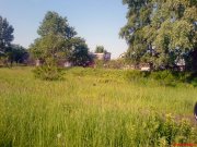 DSC01219.JPG