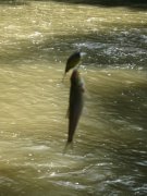 IMG_1743.jpg