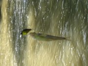 IMG_1744.jpg