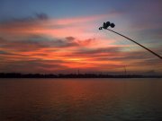 26052010349.jpg