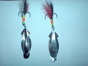 DSC00193.JPG