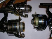 DSCN7901.JPG
