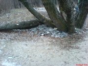 DSC01042.JPG