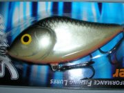 DSCN2670.JPG
