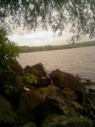 Photo-0014.jpg
