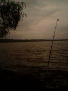 Photo-0015.jpg