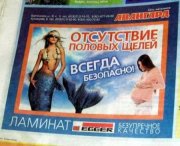 1275514732_4.jpg