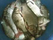 10062010.JPG