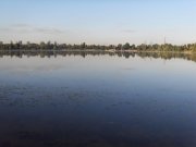 SDC12608.jpg
