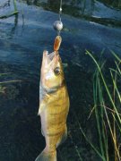 DSC00945.JPG