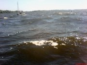 DSC01231.JPG
