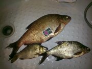 28062010416.jpg