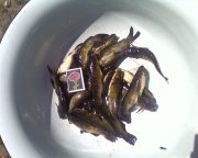 Photo-0137.jpg