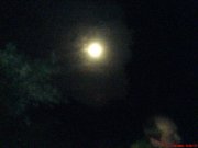DSC01259.JPG