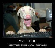 x_f458a565.jpg