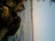 Photo-0015.jpg