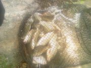Photo-0016.jpg