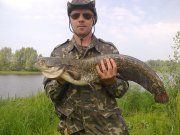 Cомик с канала 4 кг.jpg