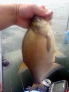 DSC01285.JPG